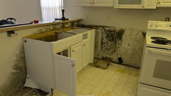 Advance Remediation Services Picture 4