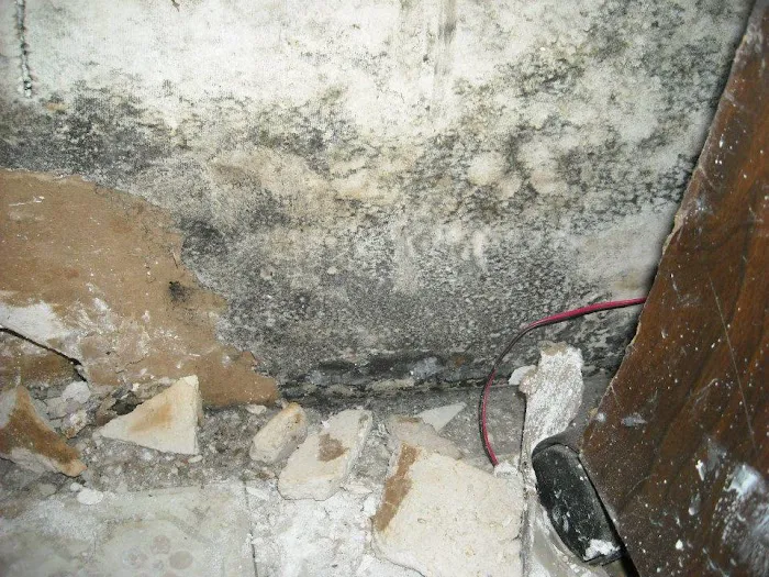 Restorative Pros, Inc. Picture 4