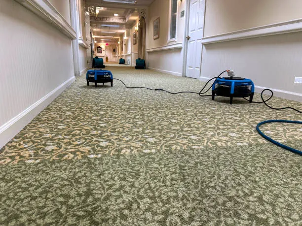 Pro Water Damage Altamonte Springs Crew Picture 1