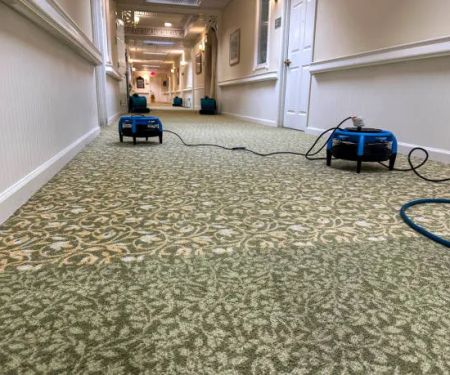 Pro Water Damage Altamonte Springs Crew