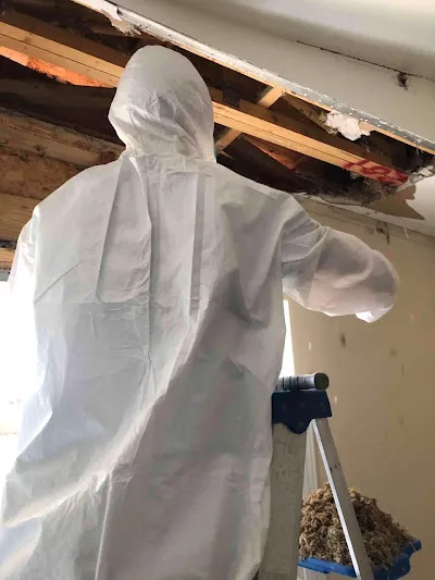 Pro Water Damage Altamonte Springs Crew Picture 3