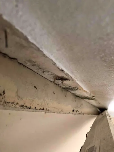 Pro Water Damage Altamonte Springs Crew Picture 4