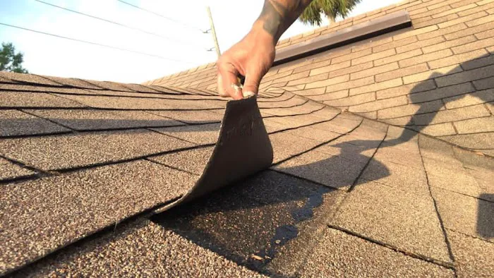 S&D Integral Picture 9