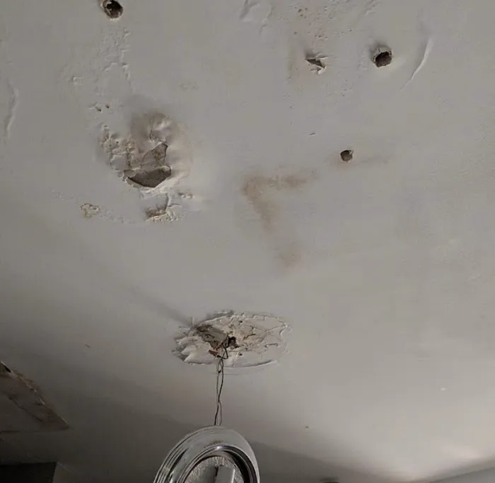 S&D Integral Picture 6