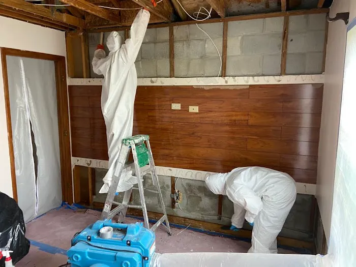 S&D Integral Picture 5