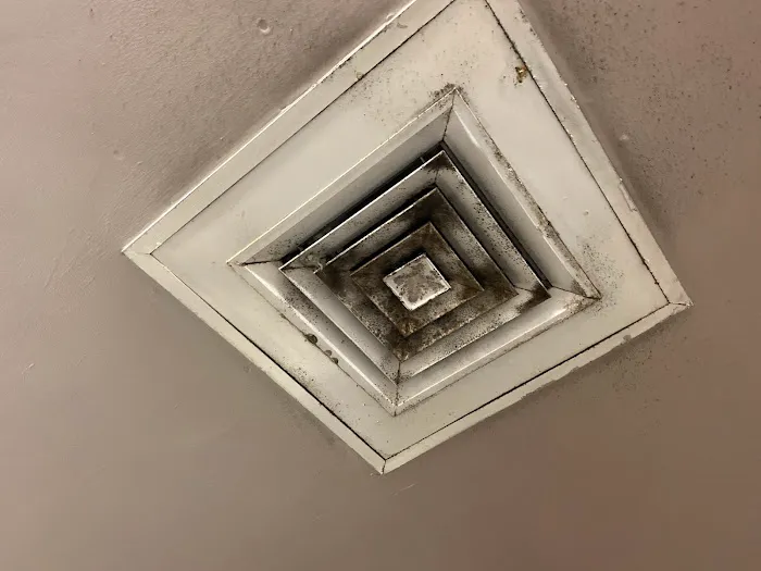 ZeroMold Apopka | Mold Damage Restoration, Remediation, Testing & Removal Picture 4