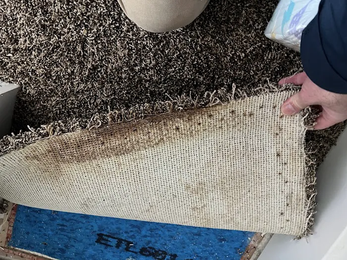 ZeroMold Apopka | Mold Damage Restoration, Remediation, Testing & Removal Picture 7