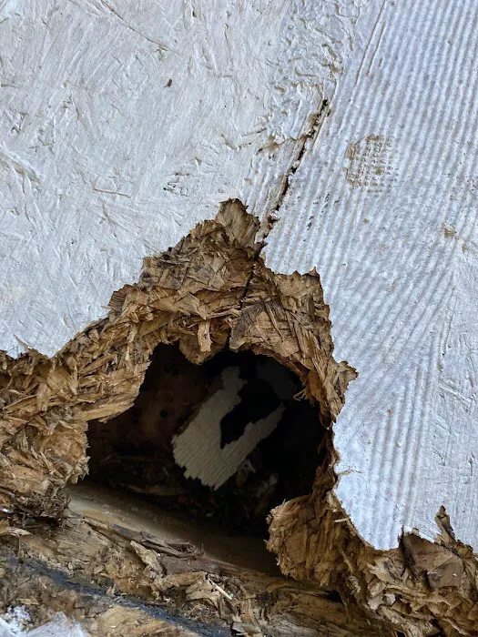 ZeroMold Apopka | Mold Damage Restoration, Remediation, Testing & Removal Picture 10