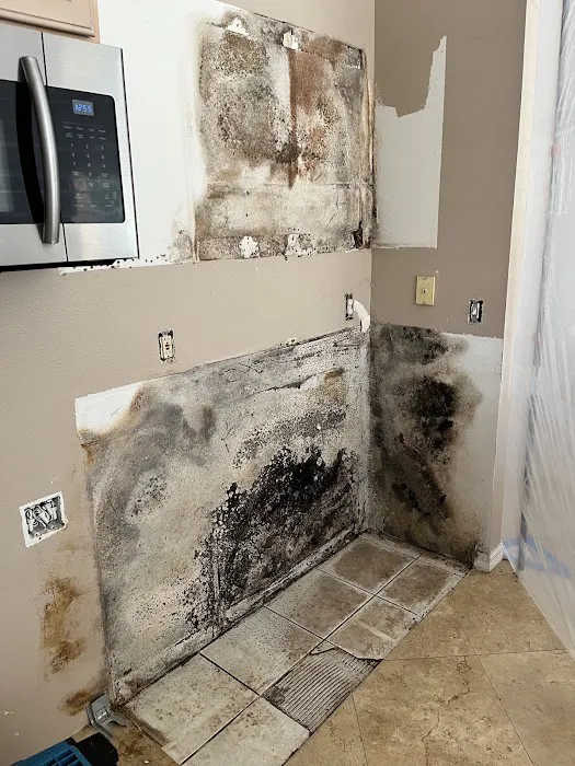 ZeroMold Apopka | Mold Damage Restoration, Remediation, Testing & Removal Picture 8