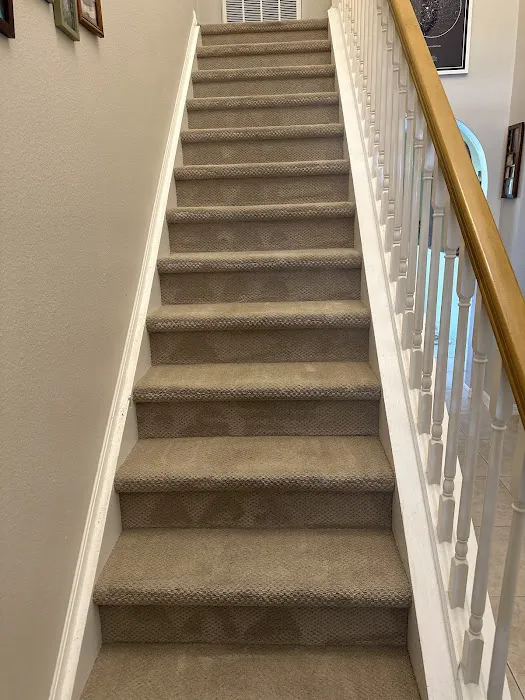 Stanley Steemer Picture 8