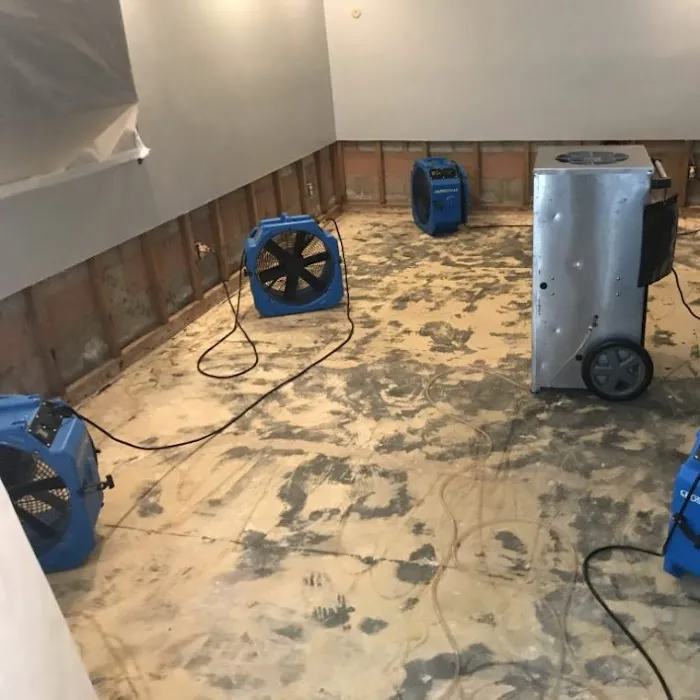 Water Orlando Picture 10