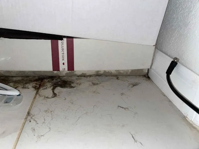 Flood Pros USA Picture 5