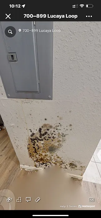 407 Got Mold Picture 2