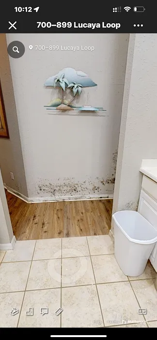 407 Got Mold Picture 10