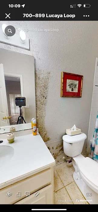 407 Got Mold Picture 1