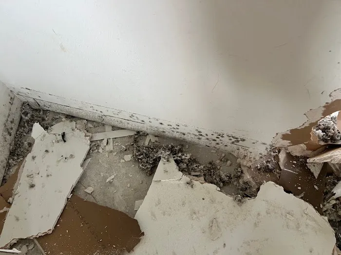 SERVPRO of University, SE Orlando Picture 1