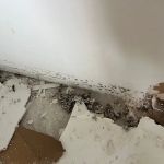 SERVPRO of University, SE Orlando