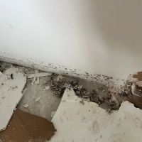 SERVPRO of University, SE Orlando ico