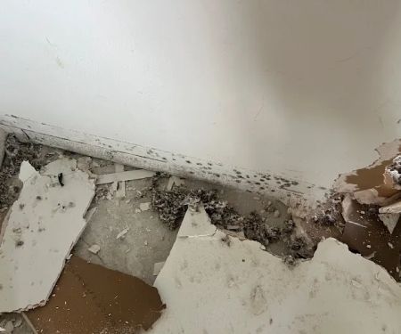 SERVPRO of University, SE Orlando