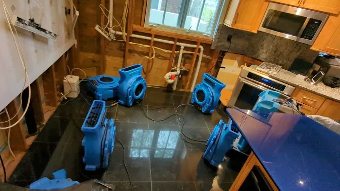 ADU Water Fire Mold Storm Picture 2