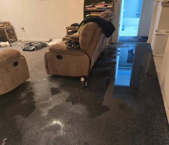 United Water Restoration Group of Orlando Picture 3