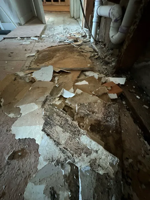 Superior Restoration Services Inc Picture 1