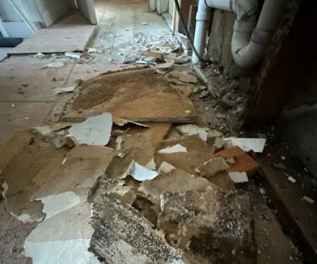 Superior Restoration Services Inc