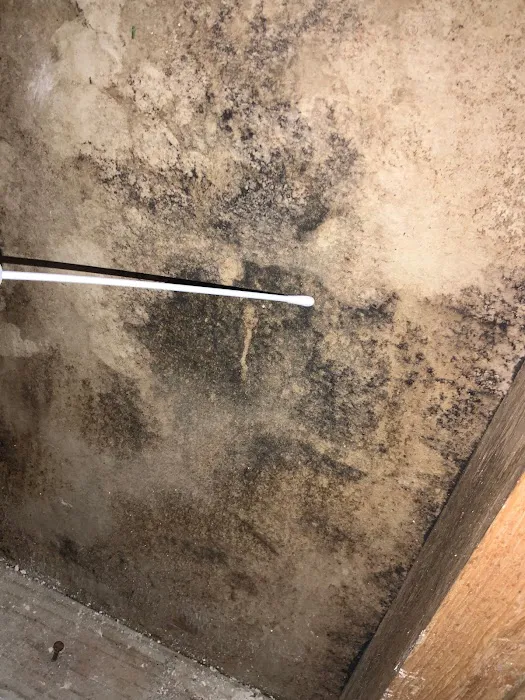 Florida Mold Services Picture 6