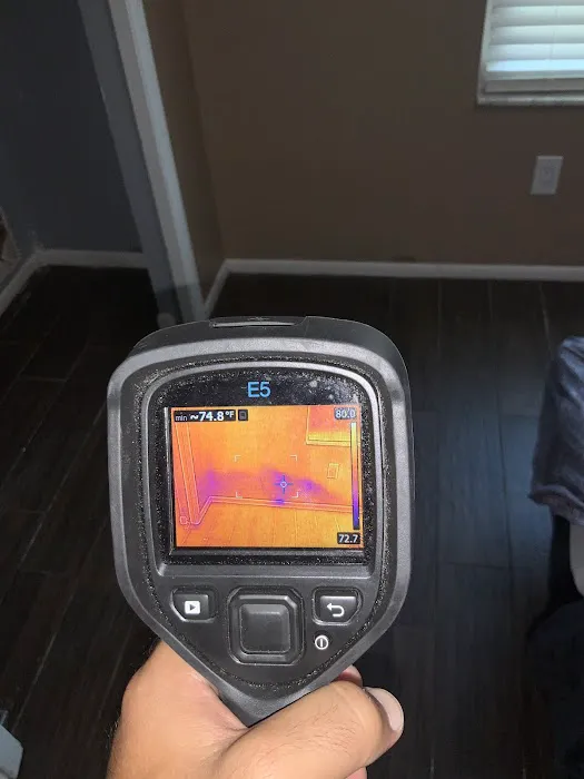 Florida Mold Services Picture 4