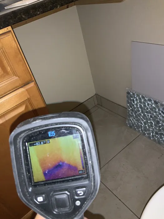 Florida Mold Services Picture 2