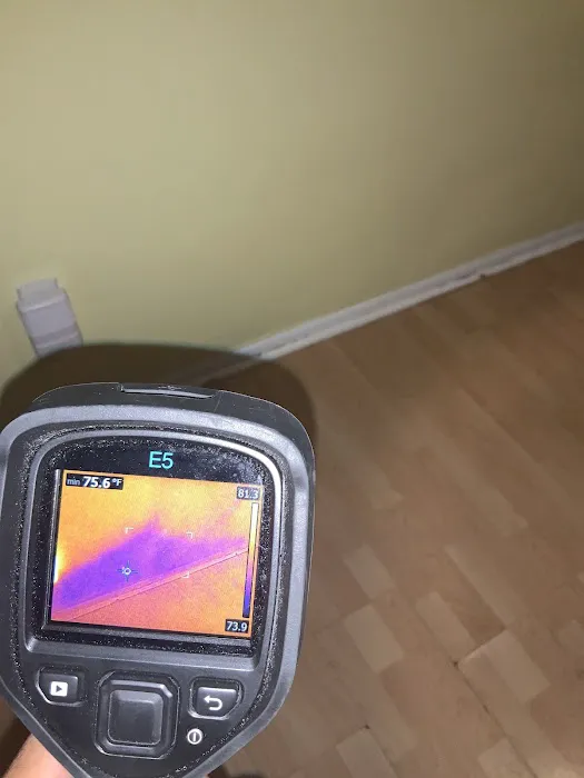 Florida Mold Services Picture 1