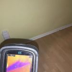 Florida Mold Services