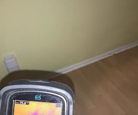 Florida Mold Services