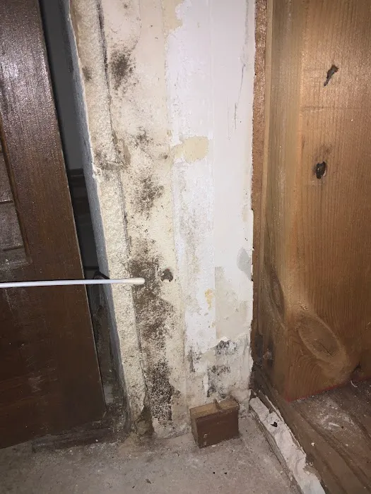 Florida Mold Services Picture 3