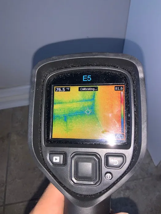 Florida Mold Services Picture 8