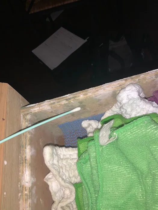 Florida Mold Services Picture 5