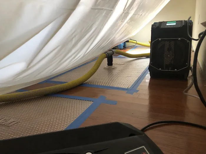 FP Property Restoration Picture 4