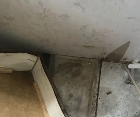 Jim Dundon Environmental Services