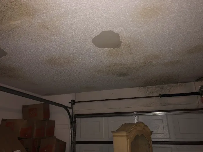 Jim Dundon Environmental Services Picture 2