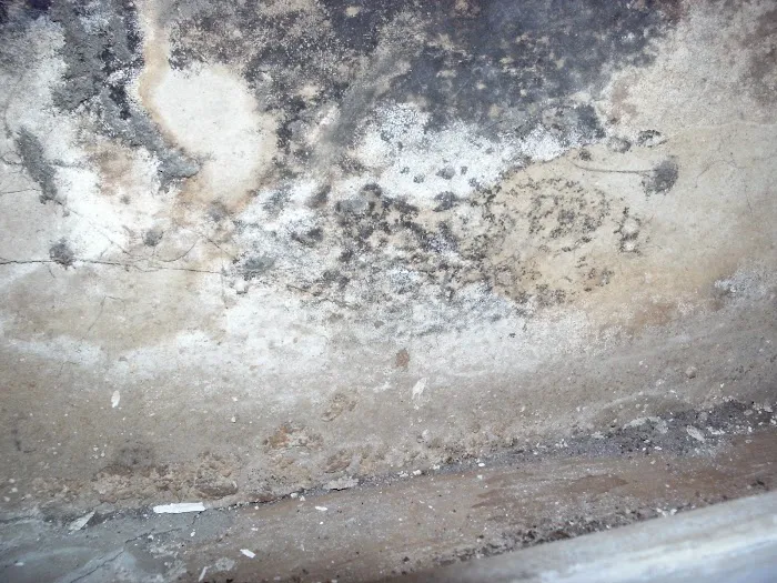 Jim Dundon Environmental Services Picture 10