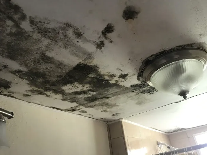 Jim Dundon Environmental Services Picture 6