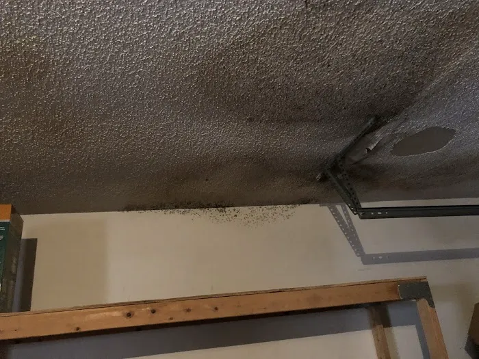 Jim Dundon Environmental Services Picture 8