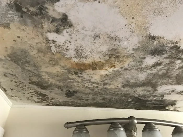 Jim Dundon Environmental Services Picture 9