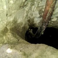 Leak Finders of Central Florida ico