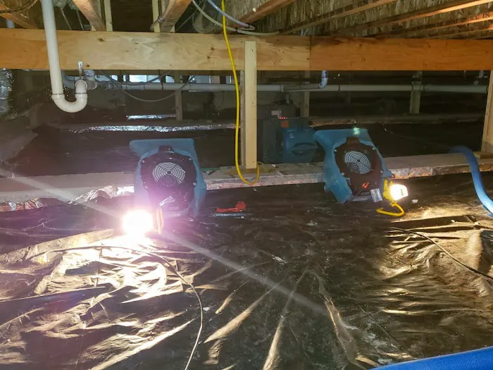 Revive Orlando Picture 8