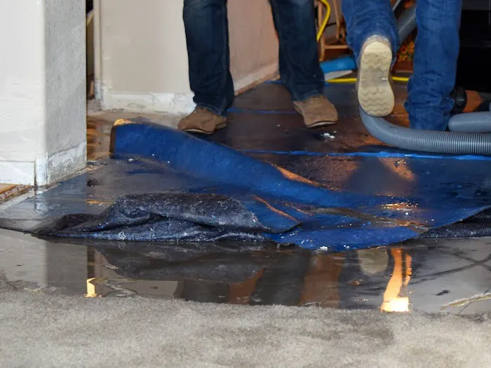 Revive Orlando Picture 6