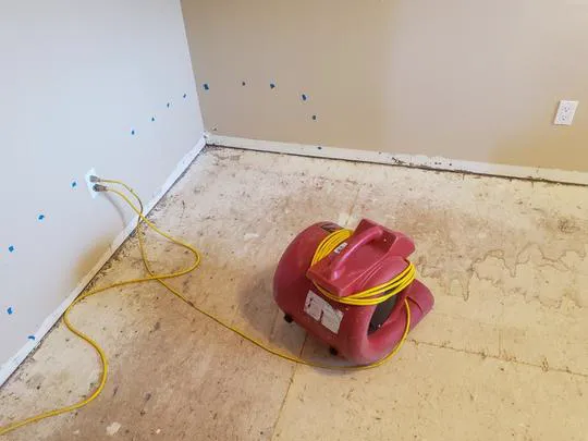 Revive Orlando Picture 2