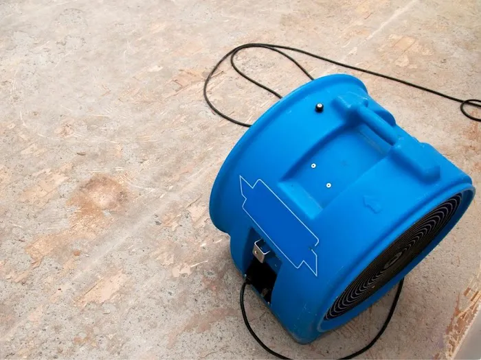 Revive Orlando Picture 4