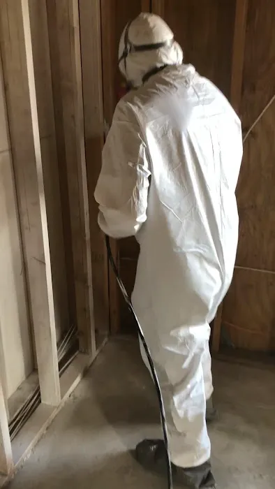 Lanstar USA Picture 3