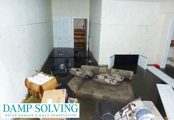 Damp Solving Water & Mold Picture 1